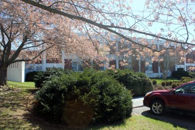 FST building in spring