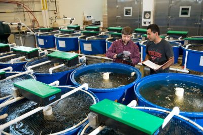 Aquaculture lab