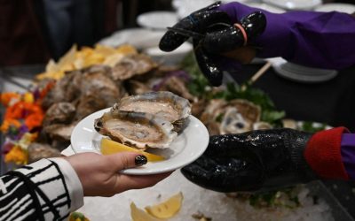 Virginia boasts eight oyster regions that produce distinctive flavors, but these regions all have something in common: They are facing water quality and environmental issues that impact production. Photo by Keri Rouse for Virginia Tech.