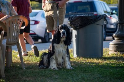 Dog at 2025 OktoberFST Alumni Tailgate