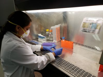 Student working in a fume hood