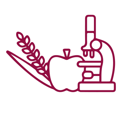 Icon with microscope, apple, wheat, and string bean
