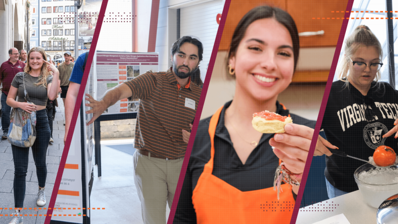 Undergraduate header photo Design with four photos showcasing undergrad education