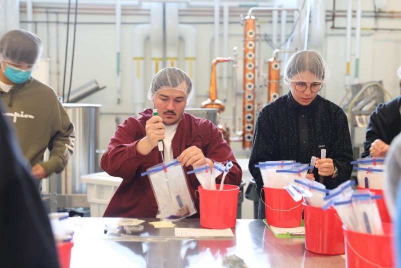 Students conduct a Food Analysis