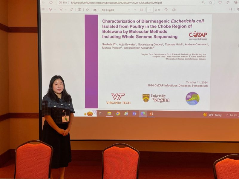 Saehah Yi presents her research