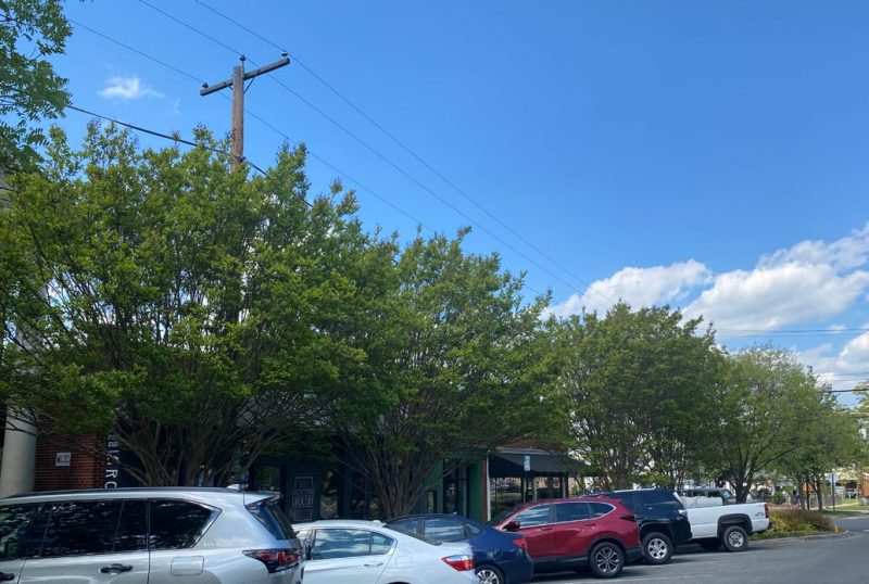 A row of medium-size trees separates commercial properties and a row of diagonally parked cars.