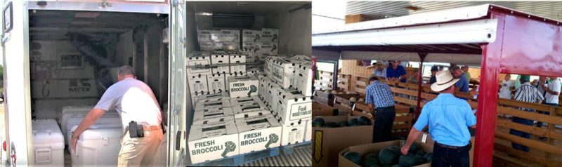 Figure 10. Series of photo showing transport vehicles, including a small, refrigerated trailer; a refrigerated truck; and a non-refrigerated trailer with roll-down sides.