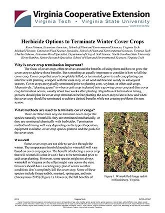 Herbicide Options to Terminate Winter Cover Crops
