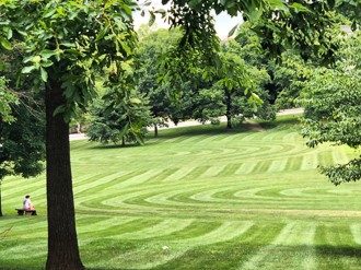 2020-21 Virginia Turfgrass Variety Recommendations