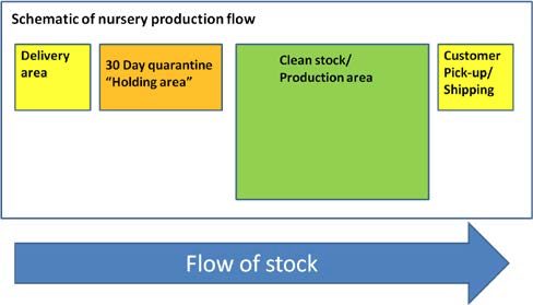 Figure 1. Flow chart delineating how nursery stock should move through areas of the nursery.
